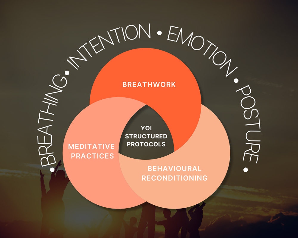 YOGA-OF-IMMORTALS-venn